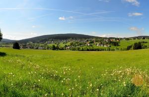 un campo de césped verde con una ciudad al fondo en Hotel Kaiseralm, en Bischofsgrün