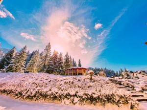 Teleferic Grand Hotel durante o inverno