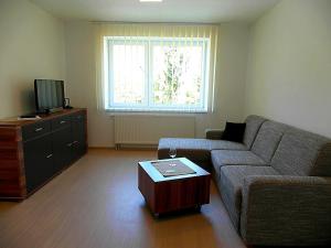 a living room with a couch and a tv at Apartmány Dalila in Rajecké Teplice