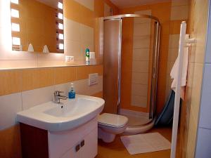 a bathroom with a sink and a shower and a toilet at Apartmány Dalila in Rajecké Teplice