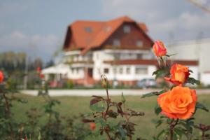 ein Haus im Hintergrund mit orangefarbenen Rosen im Vordergrund in der Unterkunft Hotel Garden Club in Braşov