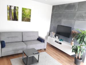 salon z kanapą i telewizorem w obiekcie Apartament Nałęczowskie Wąwozy w Nałęczowie