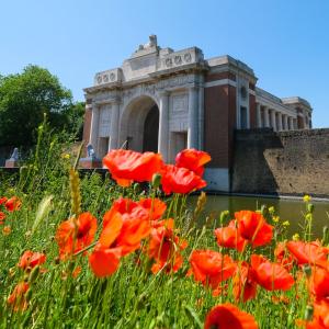 Jardí fora de Hotel O Ieper