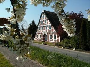 um edifício com flores brancas em frente a uma estrada em Fewo Elbblick im Haus Lühegarten em Grünendeich