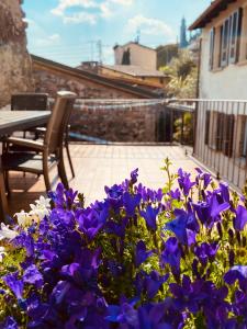 Balkon ili terasa u objektu Appartamento Soldini