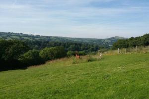 ein Grüngrasfeld mit einer Person in der Ferne in der Unterkunft Stags View,Unique eco cabin, Dartmoor views in South Brent