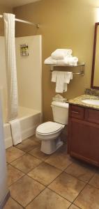 uma casa de banho com um WC, um chuveiro e um lavatório. em Candlewood Suites Champaign-Urbana University Area, an IHG Hotel em Champaign