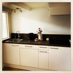 a kitchen with white cabinets and a sink at Cleen Rochelle in Middelburg