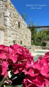 A garden outside Carpofoli Corfu