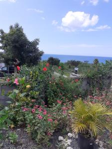 um jardim com flores cor-de-rosa e o oceano ao fundo em Bikamado em Deshaies