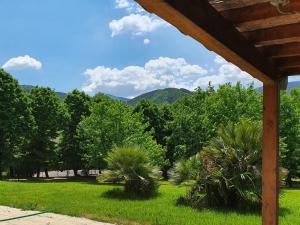 vistas a un parque con árboles y césped en Lucca Cycling Holidays Il Tiglio Rooms, en Lucca