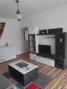 TV i/ili multimedijalni sistem u objektu Studio apartman BF