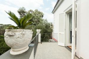 un balcone con pianta in vaso su un binario di B&B Casa Maria Vittoria a Torre del Greco