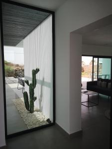 cactus in una porta di vetro del soggiorno di Villa Montaña Colorada a Lajares