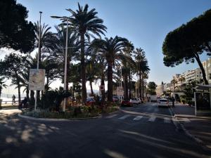 une rue bordée de palmiers et de voitures dans l'établissement Apartment Cannes Gallia Grand Park, à Cannes