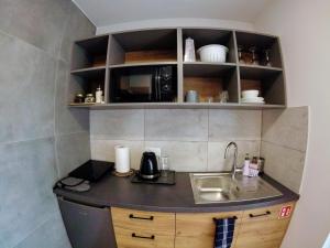 eine kleine Küche mit einer Spüle und einer Mikrowelle in der Unterkunft Przystanek Tykocin - apartamenty gościnne in Tykocin