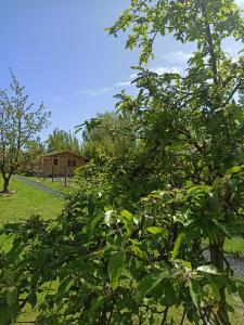 Gîtes entre mer et campagne, 3km de Berck les chalets du Fliers tesisinin dışında bir bahçe