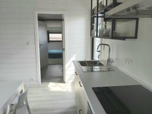 TellinChalet Little Cocoon的厨房配有水槽和台面