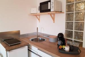 encimera de cocina con fregadero y microondas en Cocon chic au pied du Vercors avec parking, en Marches