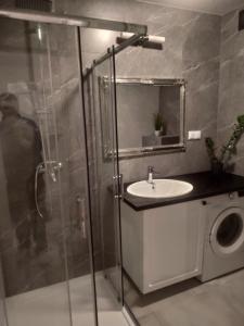 een badkamer met een douche en een wastafel bij Apartament Loftowy Wypoczynek GoldAir in Poznań