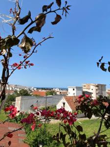 un pájaro colgado en una rama de árbol con flores en Apartments Nikičić, en Bar