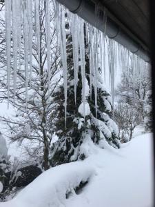 Ferienhaus Sauerlandtraum om vinteren