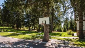 een basketbalring aan een boom in een park bij “Family аpart - Смолянски езера“ in Smolyan