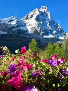 Pemandangan gunung umum atau pemandangan gunung yang diambil dari apartmen