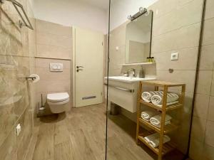 bagno con lavandino, servizi igienici e specchio di Ida 2 Apartments a Dubrovnik