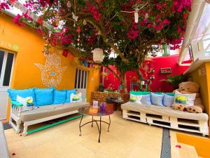 Фотография из галереи Orange Terrace Hostel в Албуфейре