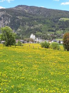 een veld vol gele bloemen voor een berg bij Apartment Haus Dengg in Mauterndorf