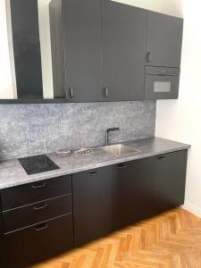 Una cocina o kitchenette en Liepaja Center Theater Apartments