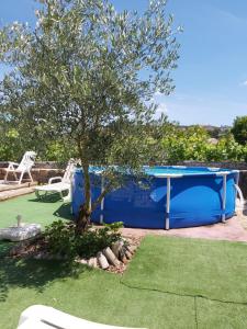 a blue pool with a tree in a yard at Casa de Alagoa in Arganil