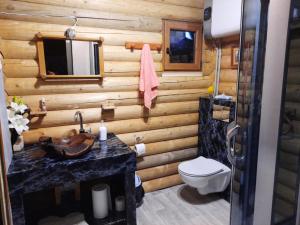 La salle de bains en bois est pourvue de toilettes et d'un lavabo. dans l'établissement Agroturystyka dom z bali całoroczny, à Turbia