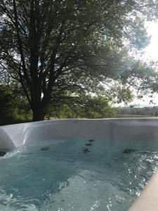 een plas water met een boom op de achtergrond bij Sutor Coops The Den with Hot Tub in Cromarty