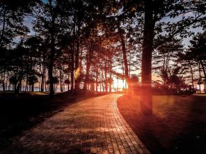 una strada di mattoni con alberi e il tramonto sullo sfondo di IFA Rügen Hotel & Ferienpark a Binz