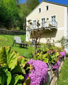 バート・シャンダウにあるHotel Garni Dekorahausの紫の花の庭