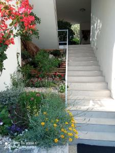 a garden on the side of a house with flowers at Apartments Kule in Brela