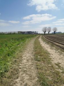 eine unbefestigte Straße auf einem Feld mit Bäumen in der Ferne in der Unterkunft Sint-Sixtus 99 in Poperinge