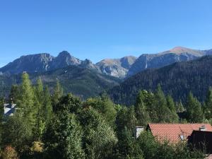 Pemandangan umum gunung atau pemandangan gunung yang diambil dari bed & breakfast