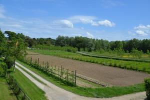 um campo agrícola com uma estrada de terra e árvores em Agriturismo Al Podere Di Rosa em Sant' Alessio