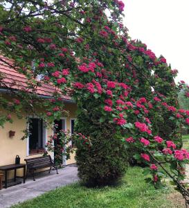 Un jardín fuera de Bakonyi Kemencésház