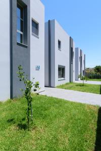 una planta en el césped frente a un edificio en Katakis LuxuryVillas, en La Canea