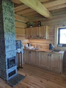 a kitchen with a fireplace in a log cabin at Lāču namiņš/Bear house in Liepāja