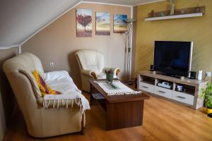 a living room with two chairs and a television at Golden BIS, Subotica in Subotica