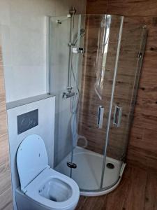 W łazience znajduje się toaleta i przeszklony prysznic. w obiekcie Wellness Apartmány Panorama w mieście Luhačovice