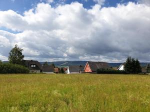 un prato con case sullo sfondo di Lindner Ferienwohnungen und Doppelzimmer a Fichtelberg