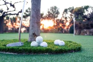 cuatro pelotas de golf en la hierba junto a un árbol en La Bastide De Tourtour Hotel & Spa, en Tourtour