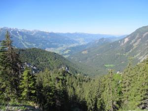 Elle offre une vue sur une vallée montagneuse bordée d'arbres. dans l'établissement Steinerhaus Berggasthof, à Gröbming