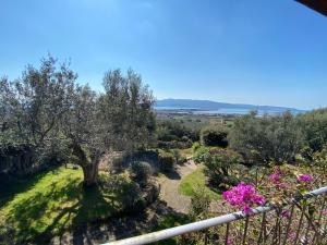 una vista dal balcone di una casa con un ulivo di Casa ai Poggi dell'Argentario a Orbetello